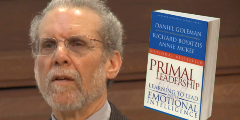 A Book About Business Marketing - Primal Leadership On Display With An Image Of The Author.